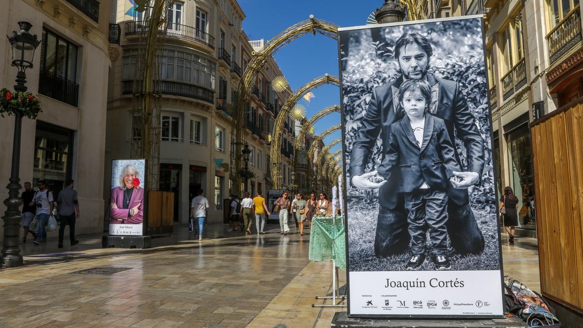 Fotos de la exposición 'Out Flamenco' de la calle Larios