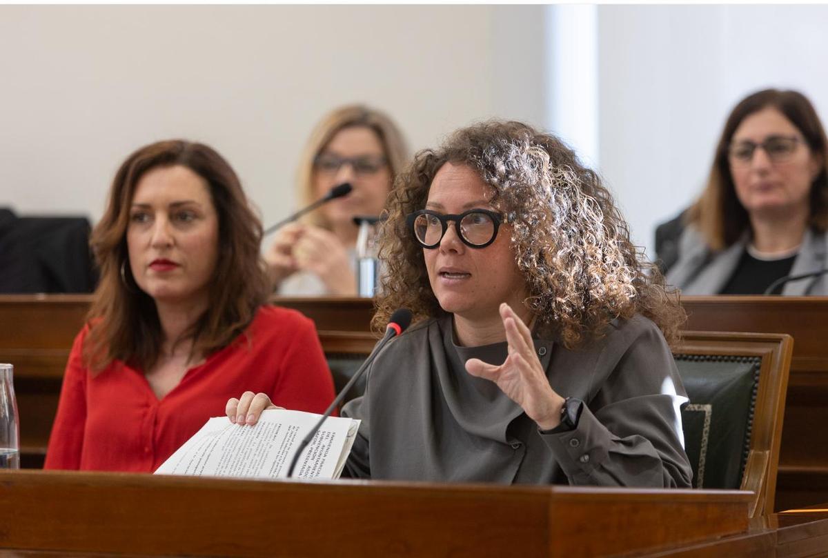 La concejala Alicia Izquierdo, en uno de los últimos plenos.