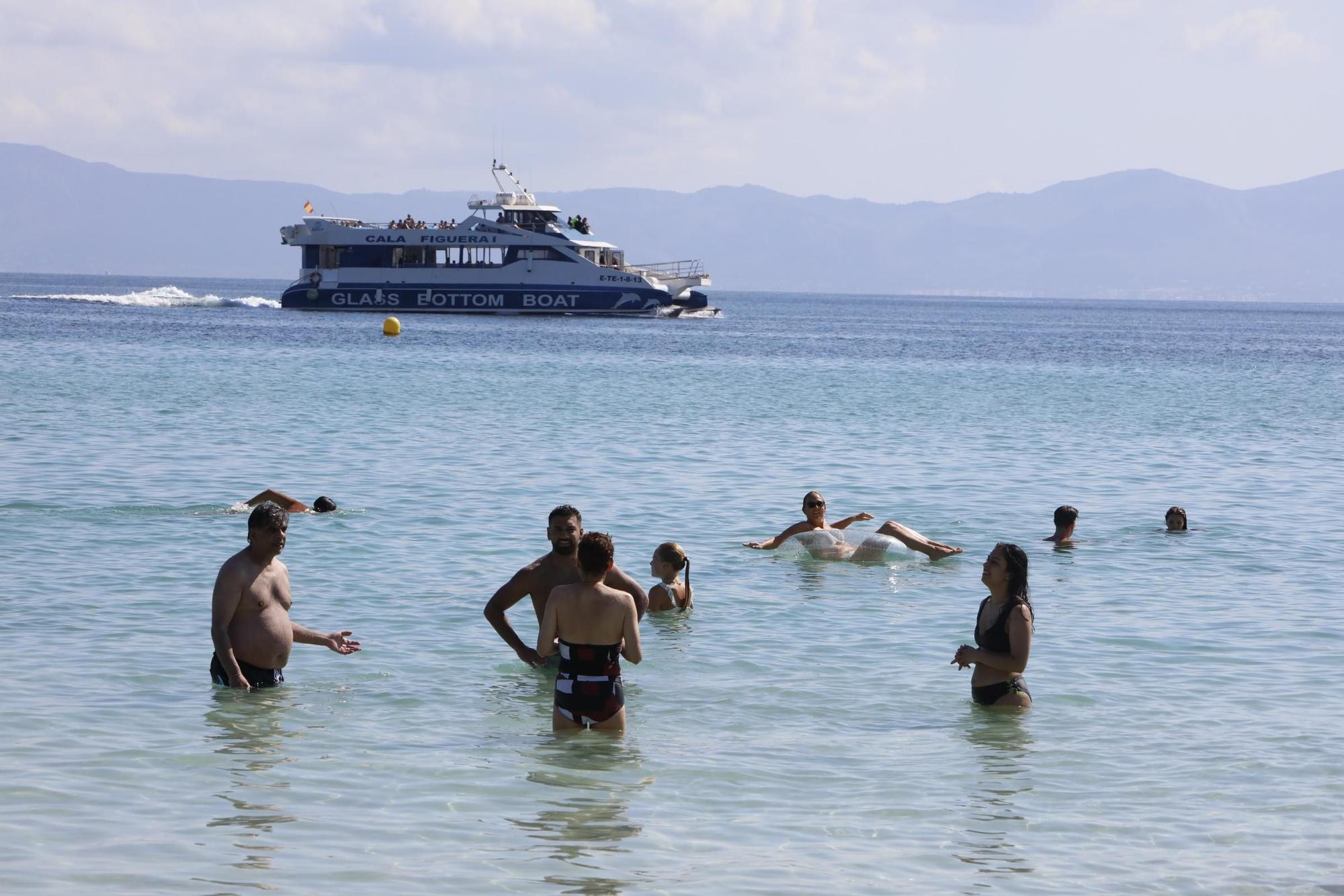 Sommer-Urlaub im Oktober: So sieht es derzeit am Strand von Alcúdia auf Mallorca aus