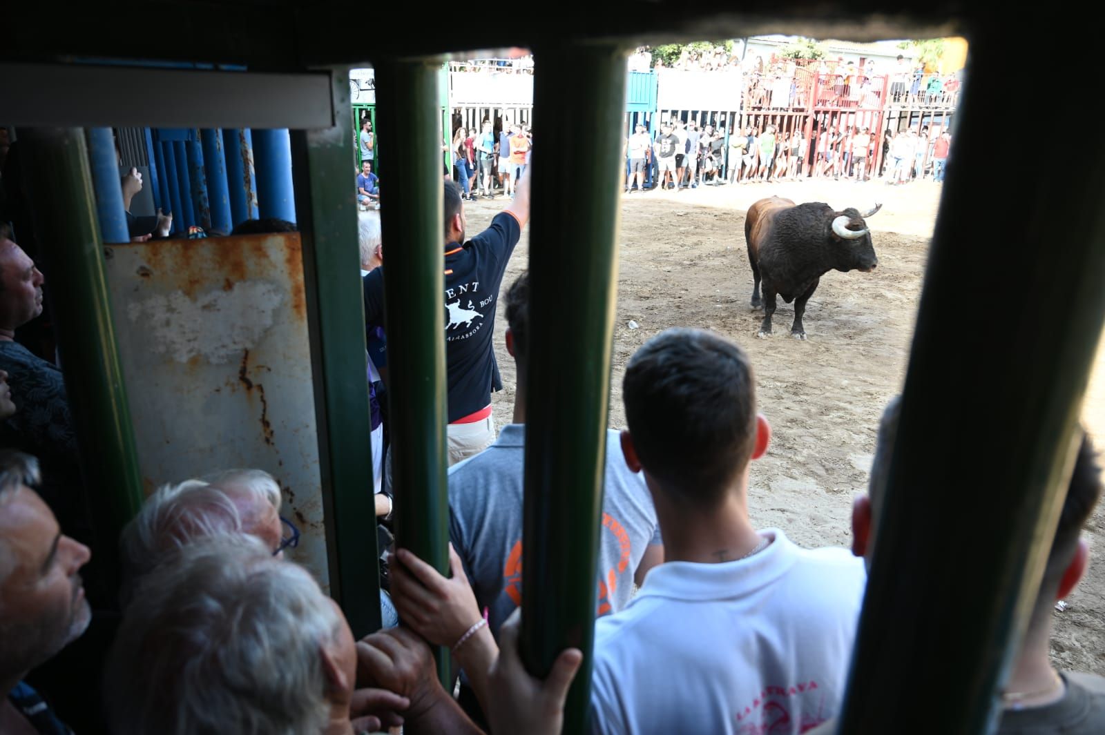 Lo mejor del lunes taurino de las fiestas de Almassora 2022