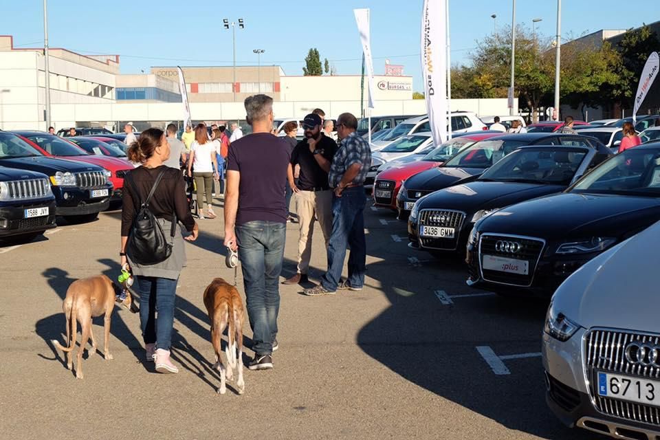 Fira del Vehicle d''Ocasió de Figueres