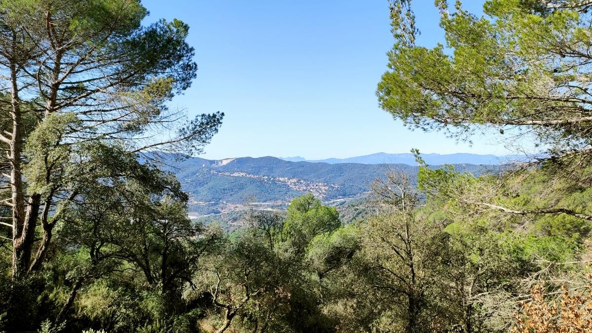 El verde del Parc Forestal de Mataró