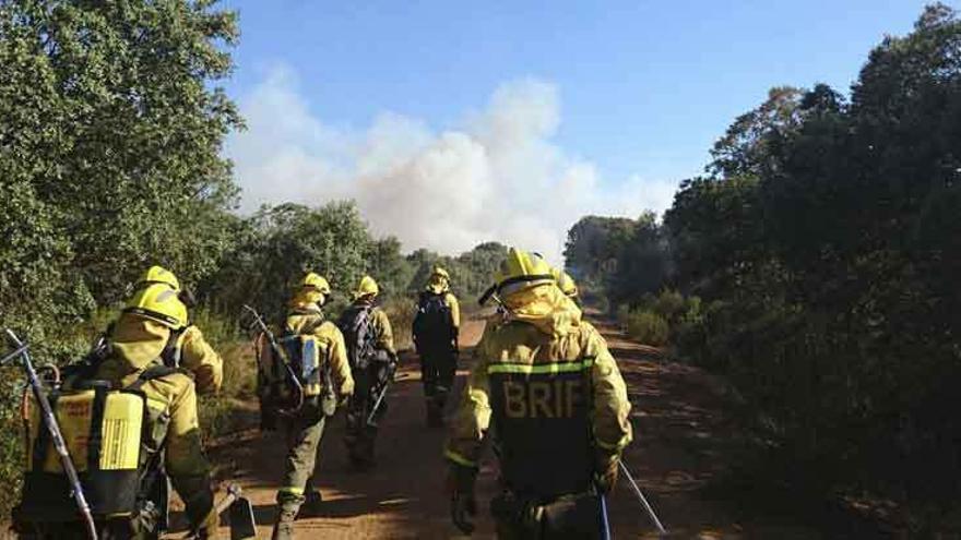 Una brigada de ATBRIF cambia de sector en la zona del incendio de Cunquilla de Vidriales.