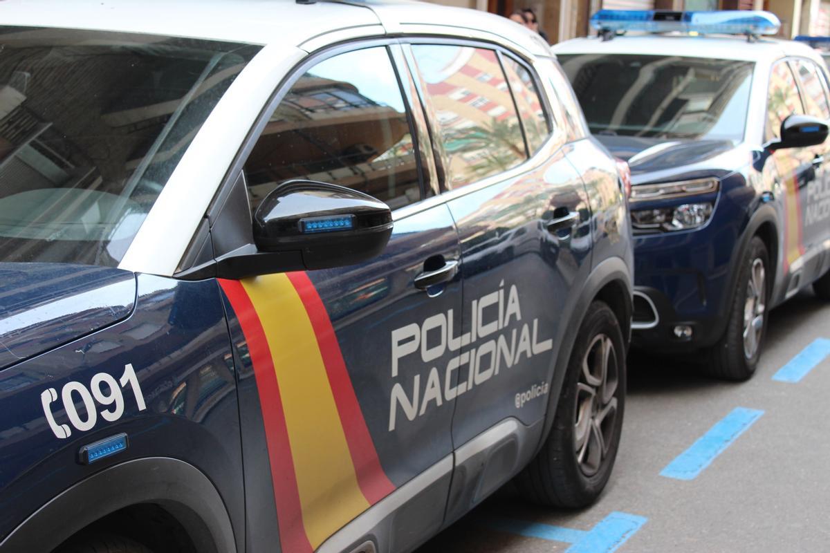 Varios coches policiales aparcados en la calle.