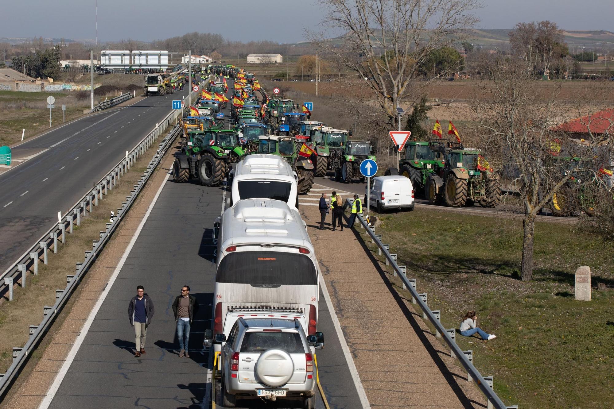 GALERÍA | Tractorada en Zamora: las mejores imágenes de un martes histórico para el campo de la provincia