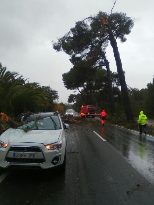 Los estragos del temporal en Mallorca