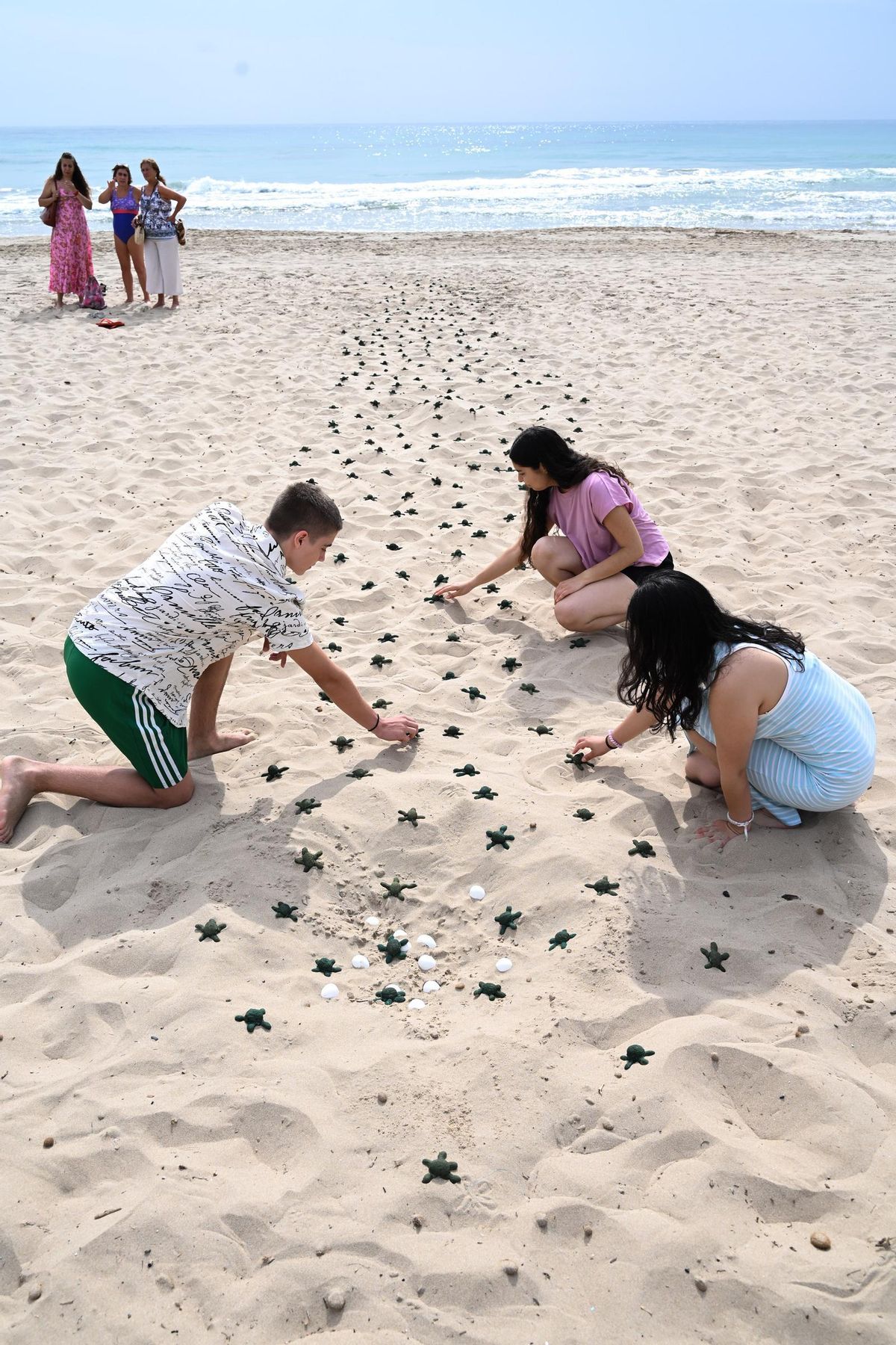 El arte como medio de expresión de las necesidades de protección del medio ambiente es el objeto de esta actividad en la playa de Elche