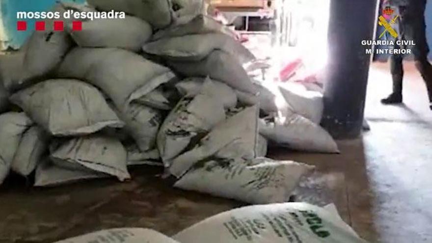 Intervenidos 21 kilos de coca pura impregnada en abono orgánico en Valencia