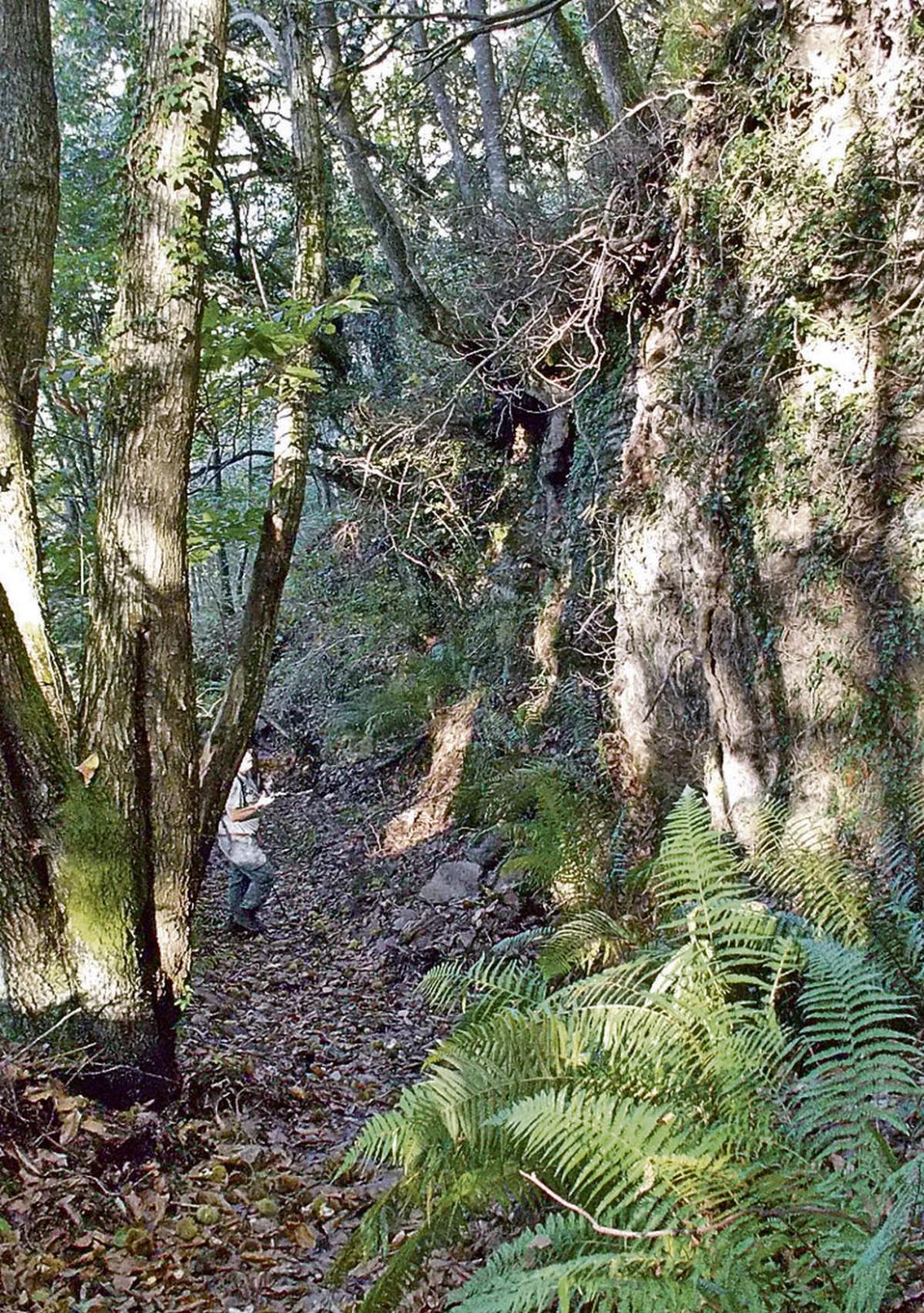 Viaje al origen de los cañones de Trubia