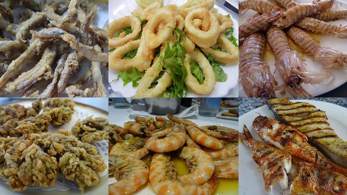 A Catalunya hi ha més de 50 espècies de peixos que es poden cuinar de manera molt fàcil i que són deliciosos.