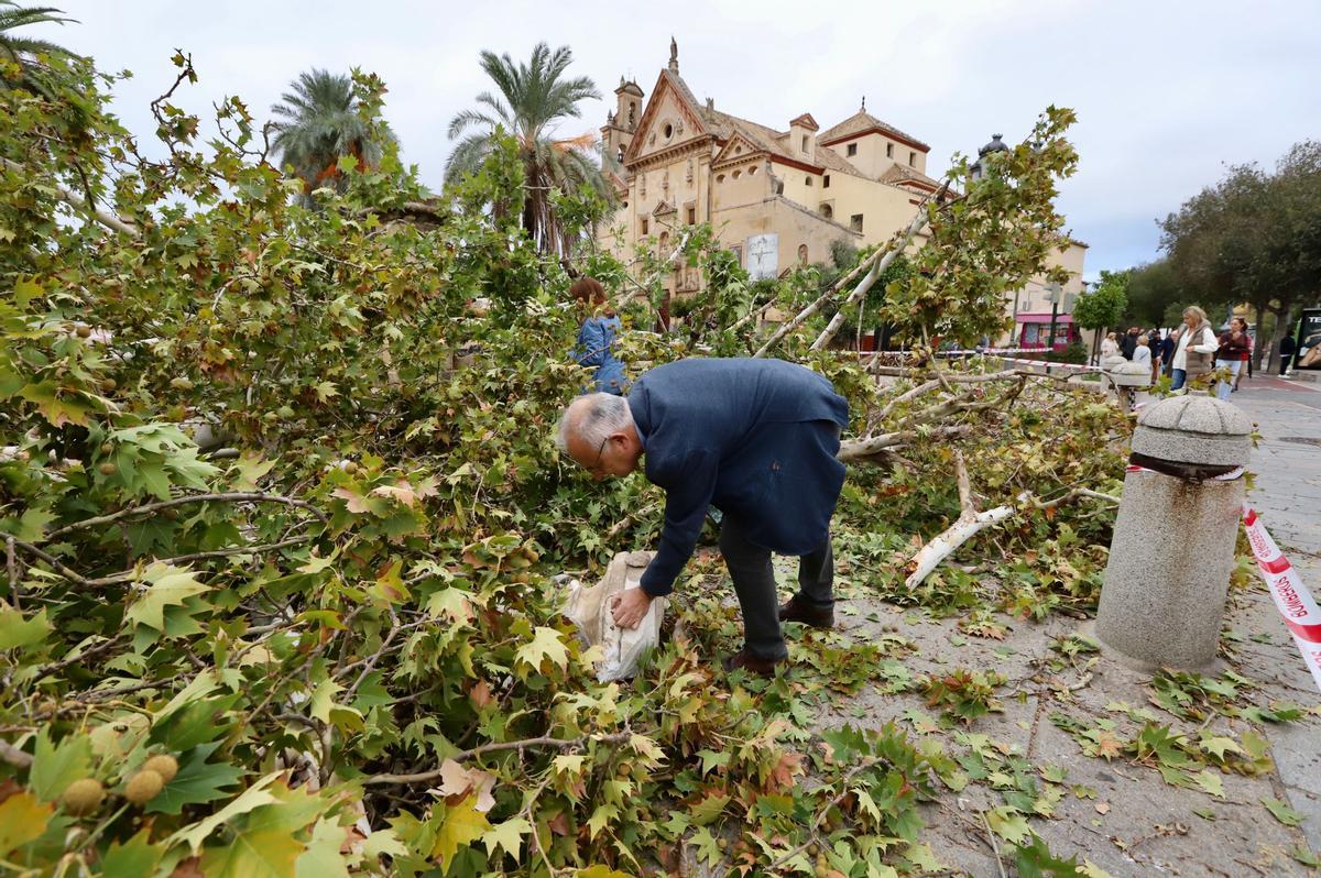 Gabriel Rebollo, arquitecto municipal, examina los restos del San Rafael en el Alpargate
