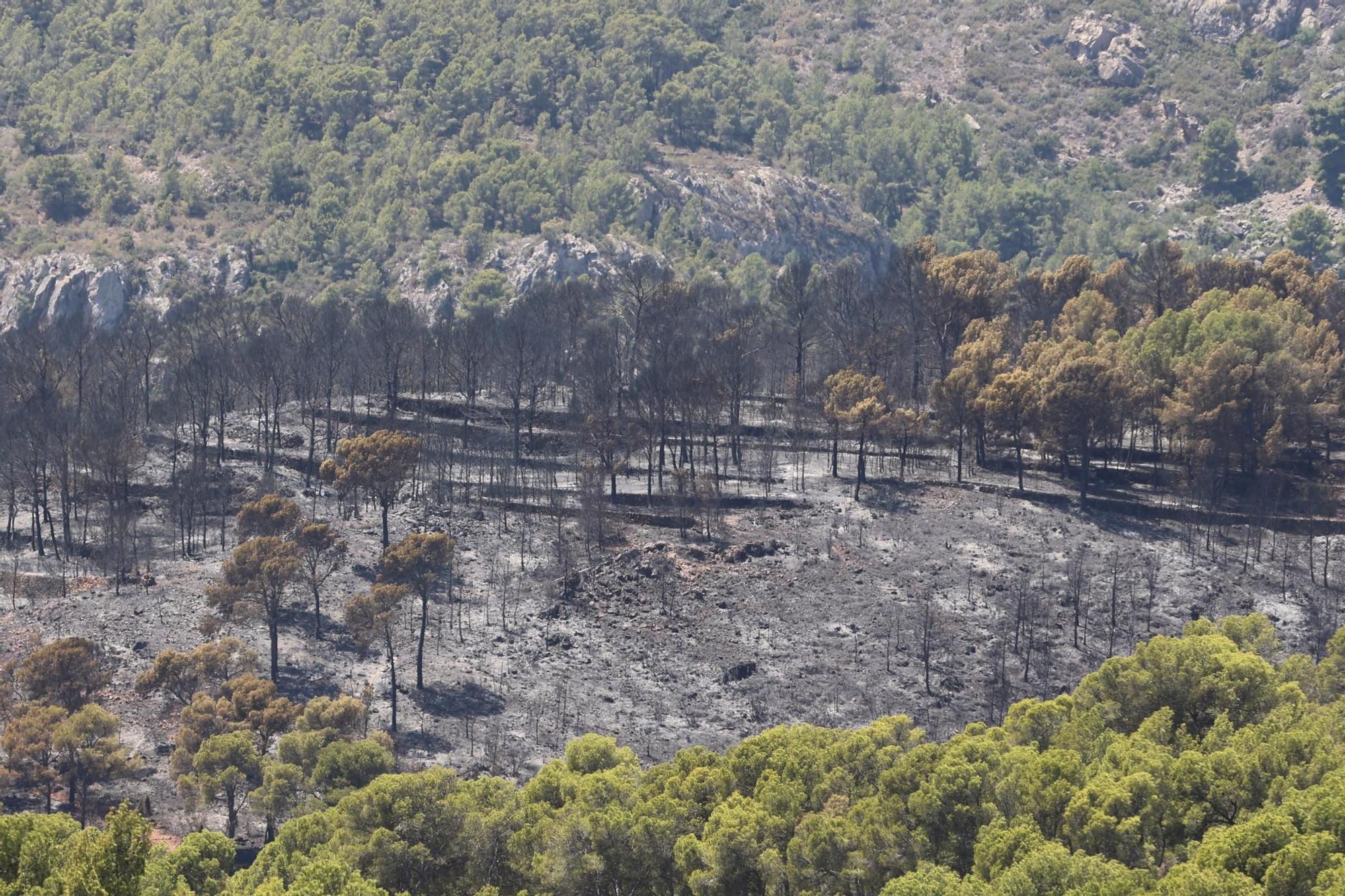 Galería de imágenes: Estabilizan el incendio del Desert