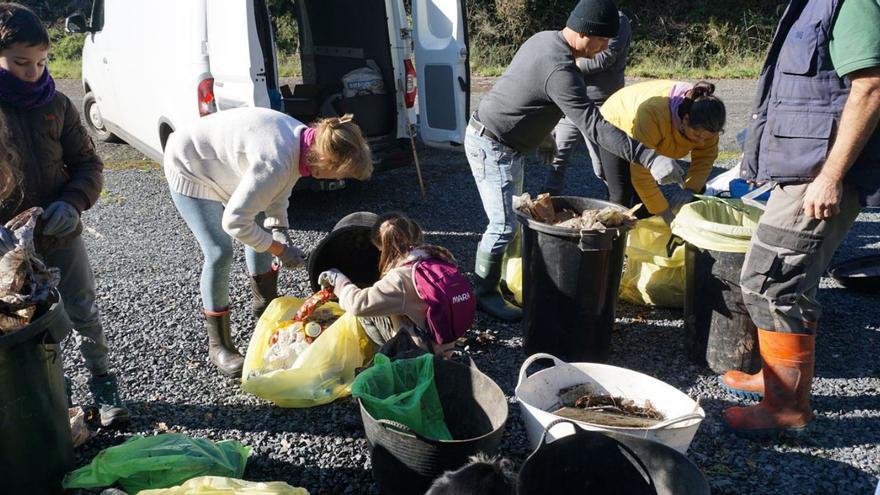Recogida de basura junto a la Ruta Espiritual en Vilasantar | LA OPINIÓN