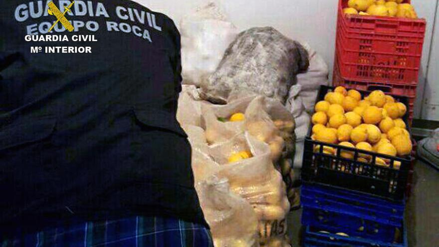 Identificados los dos presuntos ladrones de 8 toneladas de limones