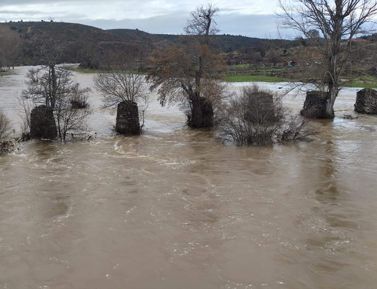 El río Aliste,afluente del Esla que da nombre a la comarca, en una de sus frecuentes crecidas hace apenas algunas semanas. | ARCHIVO