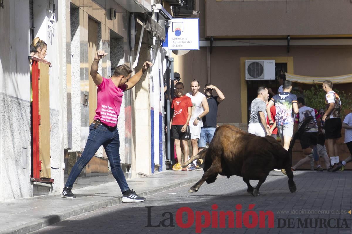 Cuarto encierro en las Fiestas de Moratalla