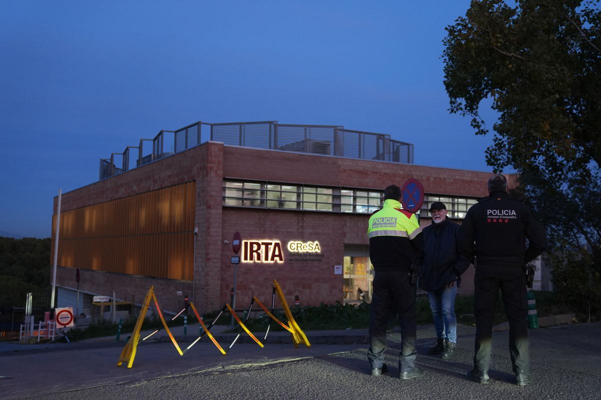Catalunya auditarà els laboratoris que tracten la pesta porcina davant la possible fuga del virus des d’un d’ells