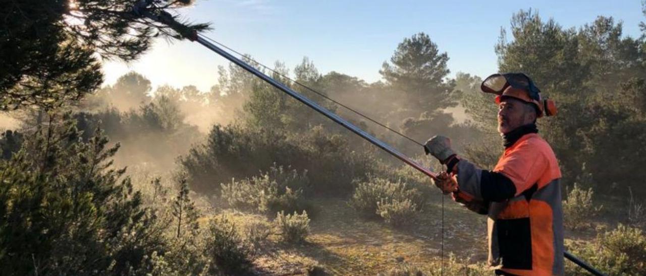 Un operario maneja una tijera telescópica. | CIF