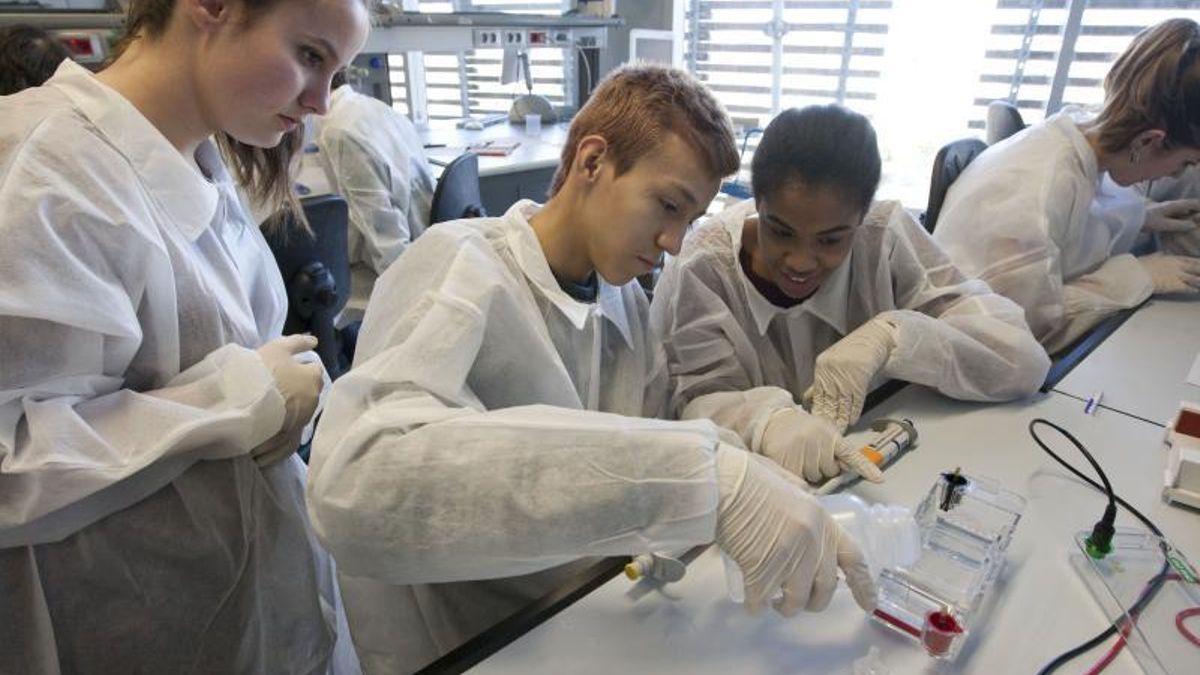 Las personas que hayan hecho prácticas formativas antes de 2024 podrán añadir 5 años a su cotización si cumplen estos requisitos, según la Seguridad Social.