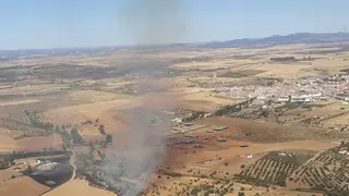 Bomberos forestales del Infoca y de Extremadura intentan extinguir un incendio en Belalcázar