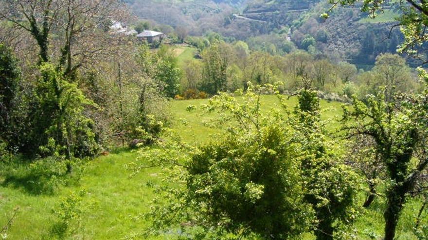 Típica casona gallega en venta en Lugo.