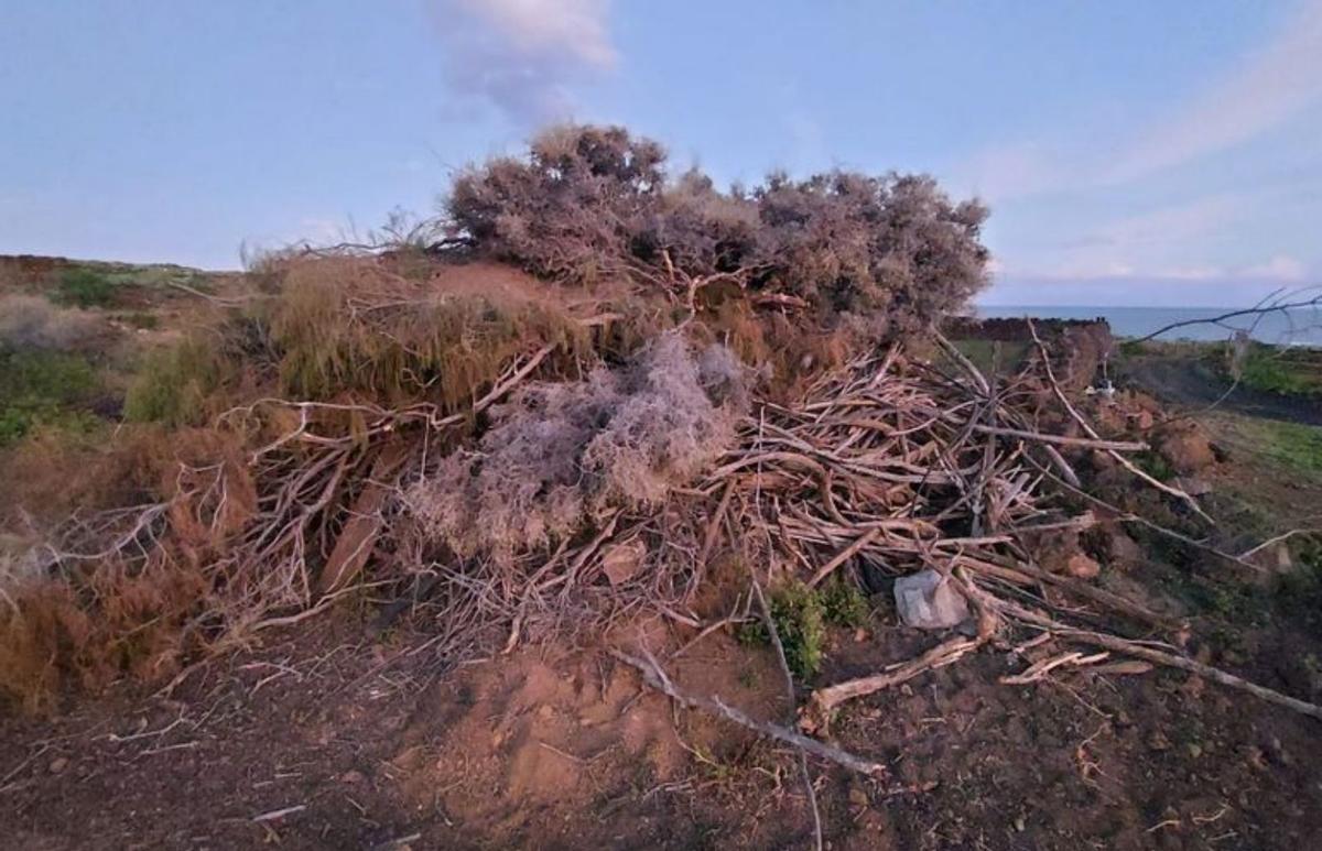 Otra herida en el Malpaís