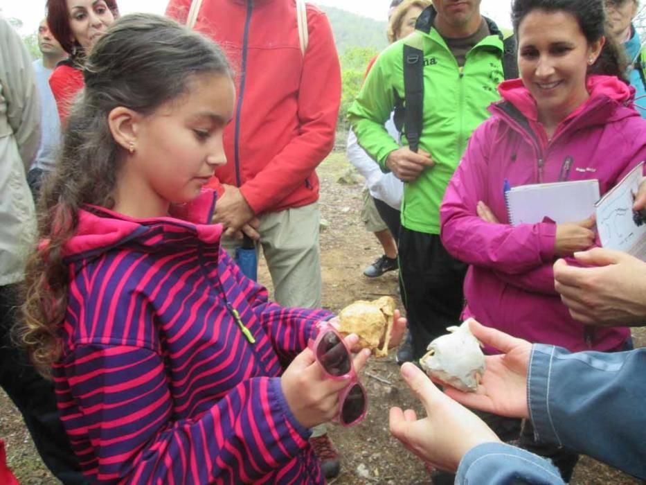 200 personas descubren los secretos del poljé del Pla de Corona en el Geolodía