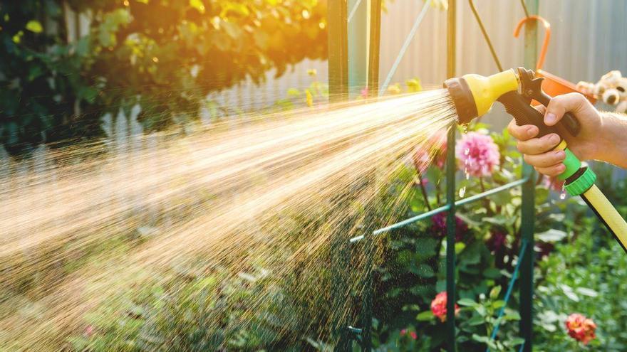 Los jardineros lo tienen claro: ni al mediodía ni por la noc