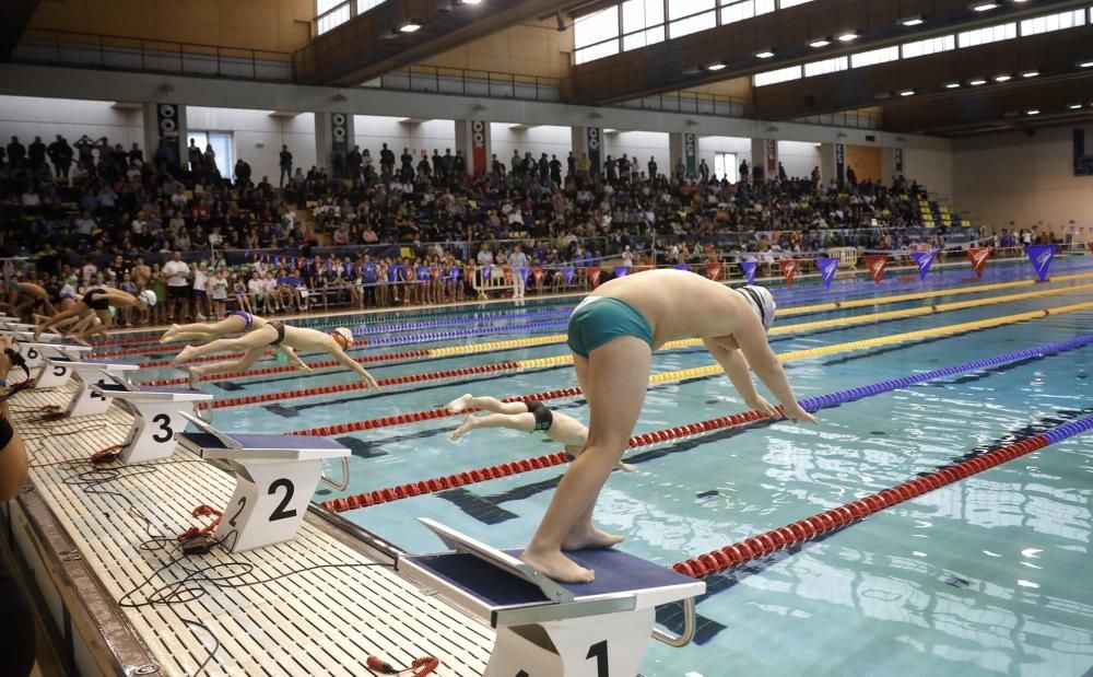 Trofeo Sant Sebastià de natación