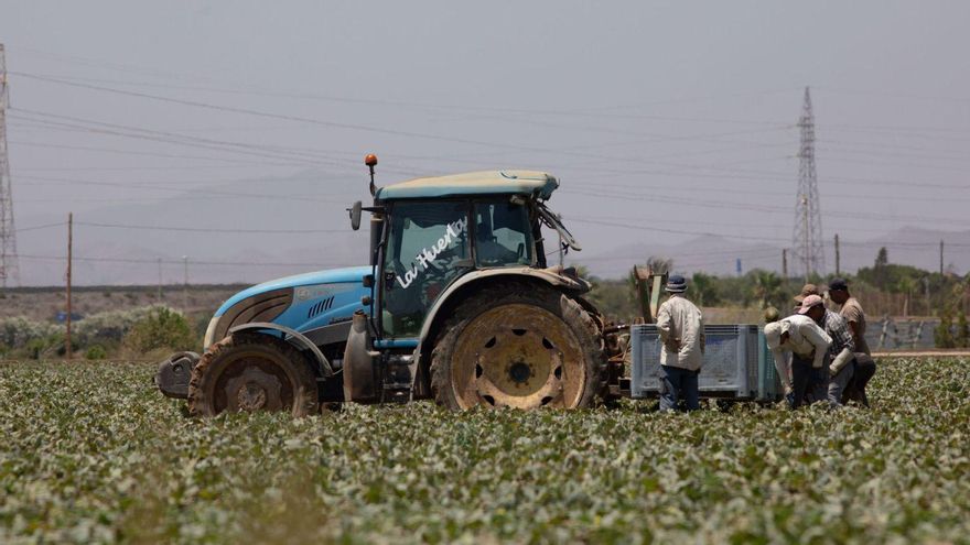 La melatonina vegetal puede ser clave para reducir el uso de fitosanitarios