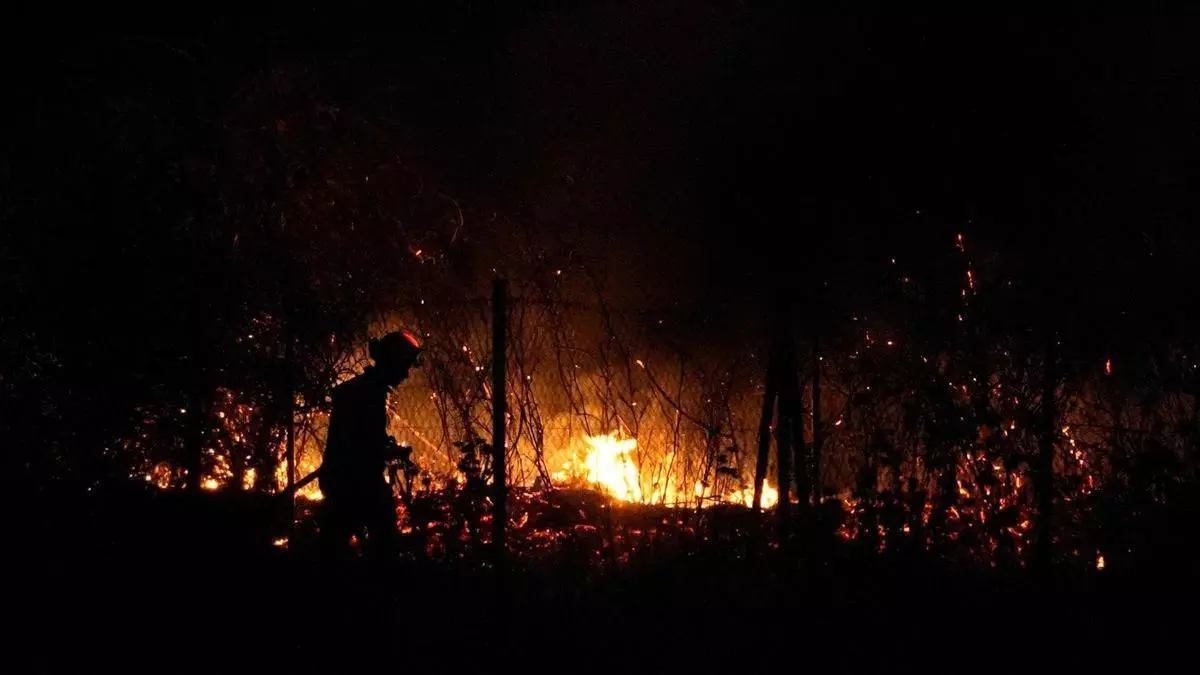 Susto en Zamora: dos incendios en apenas dos horas en la carretera de Almaraz