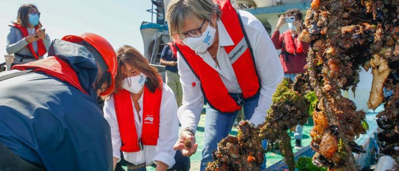 La conselleira do Mar, Rosa Quintana, y la directora del Intecmar, Covadonga Salgado, ayer recogiendo una muestra de mejillón.