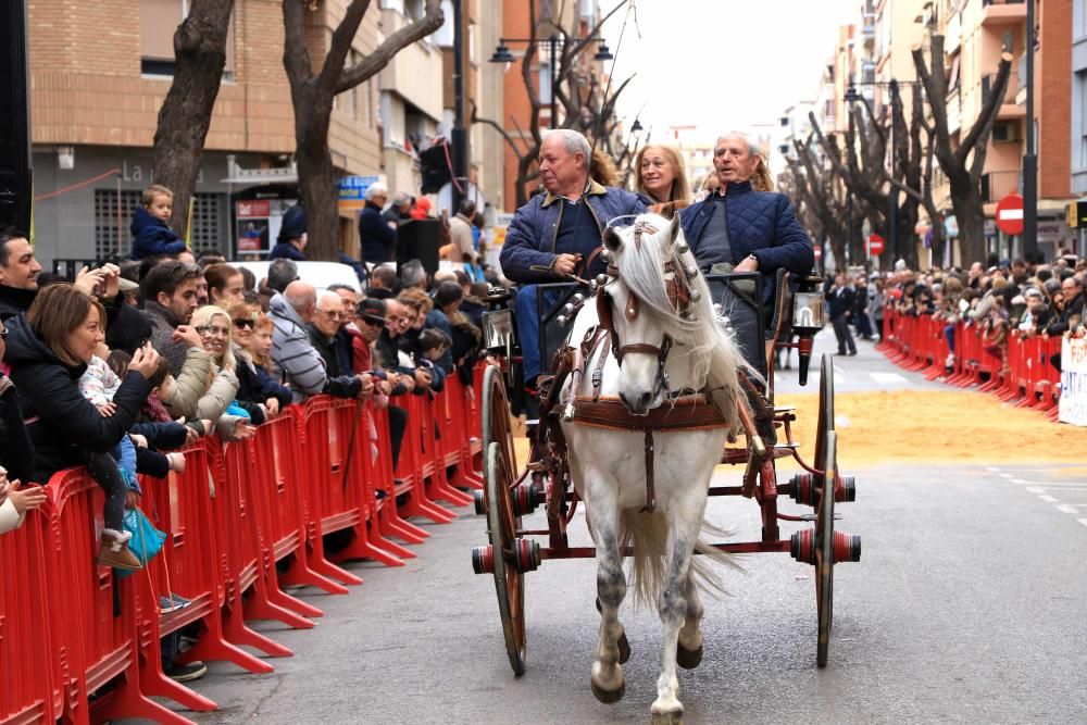 Bendición de animales en Torrent.