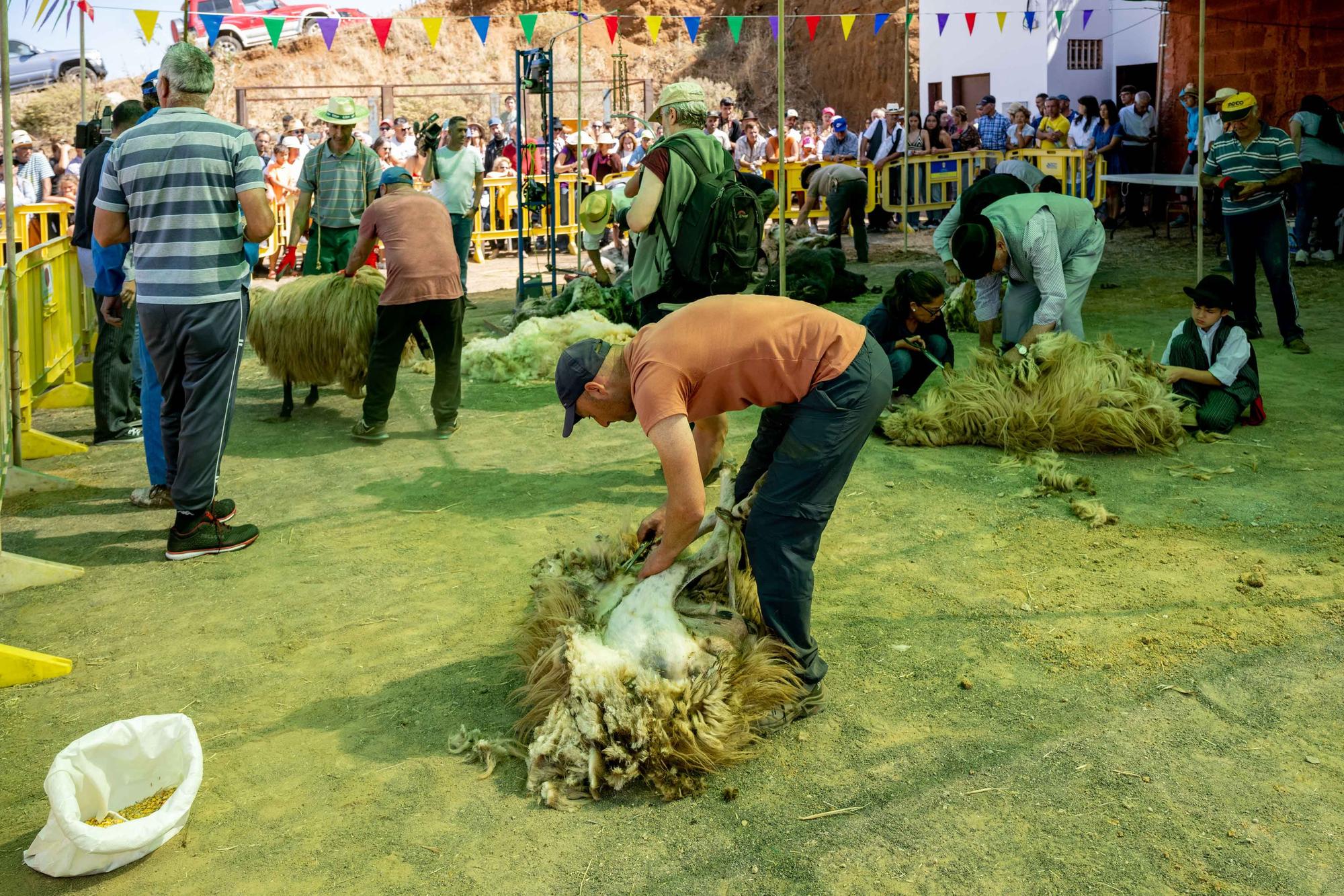 Fiesta de la Lana de Caideros