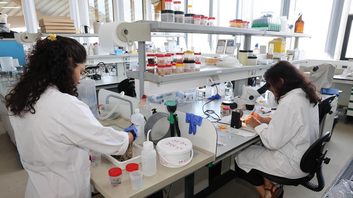Laboratorio de la Estación de Ciencias Marinas de Toralla, del Centro de Investigación Mariña (CIM-UVigo).