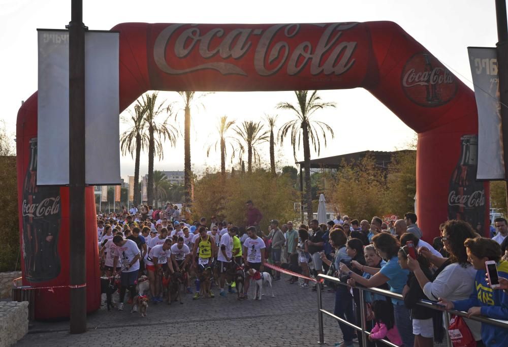 Los participantes en la cuarta Can-rrera.