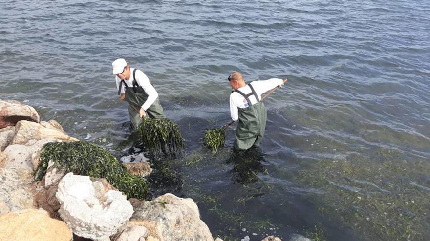 La visibilidad del agua alcanza un 90,6 por ciento.