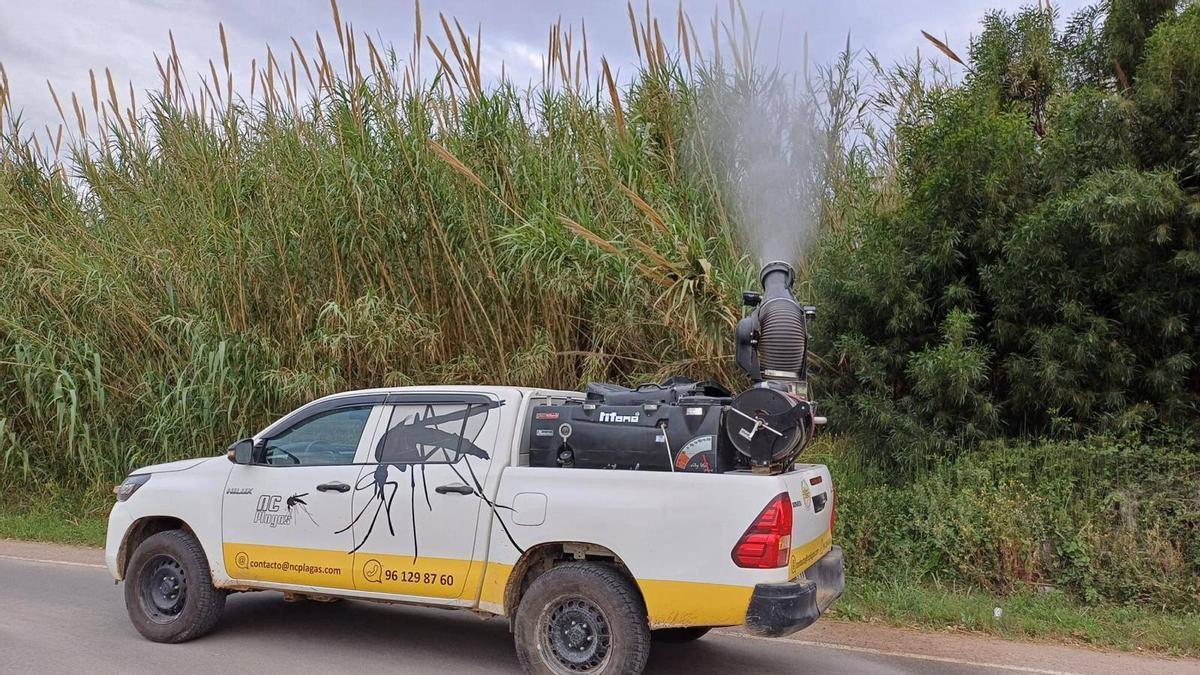 Tratamiento en la marjal de Massamagrell