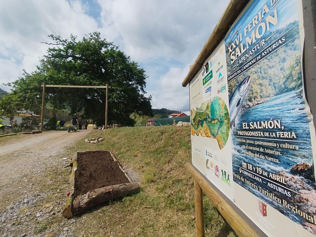 Cornellana, en Salas, se prepara para la Feria del Salmón y la subasta del campanu de Asturias