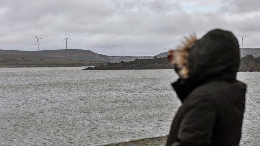 Un joven observa el estado del embalse de Ricobayo. | Emilio Fraile