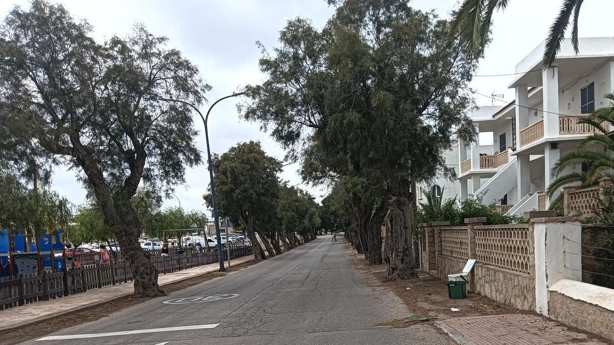 Vista de la calle Tamarells de Portocolom.