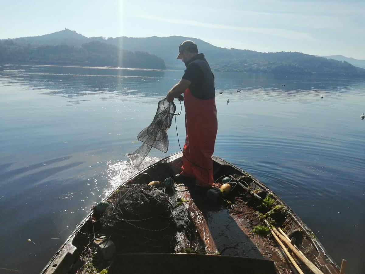 Un pescador gallego recoge uno de los aparejos que emplea para la pesca de anguila.