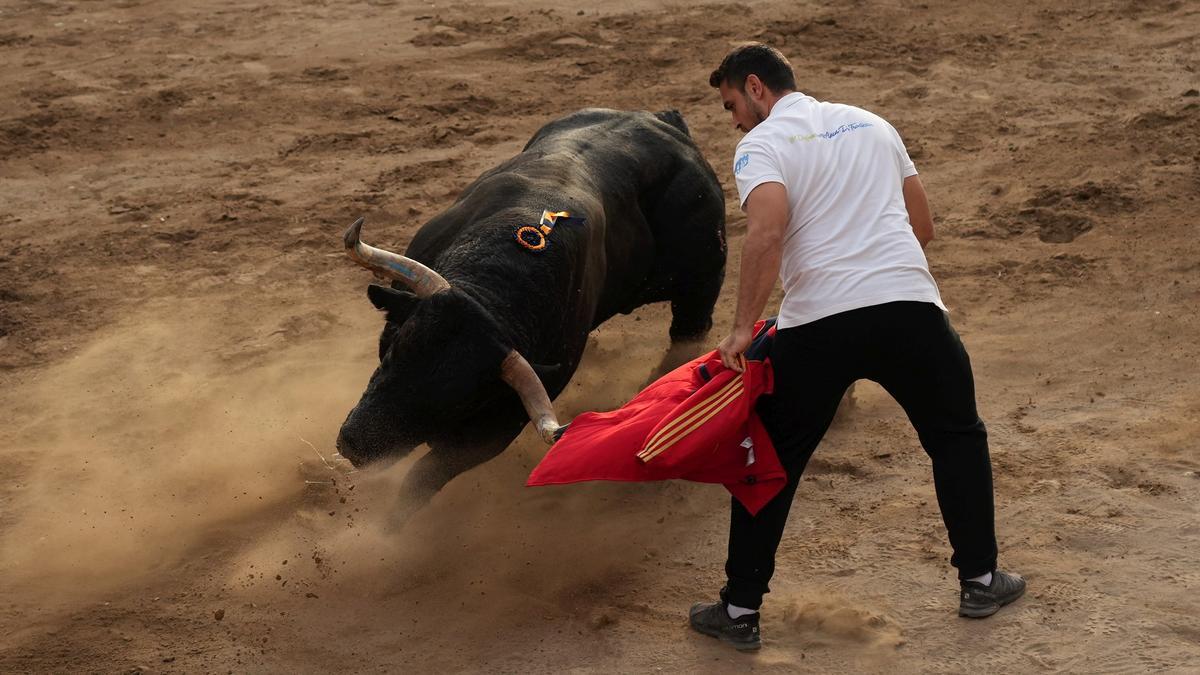 Imagen de un festejo de bous al carrer en la Fira d'Onda