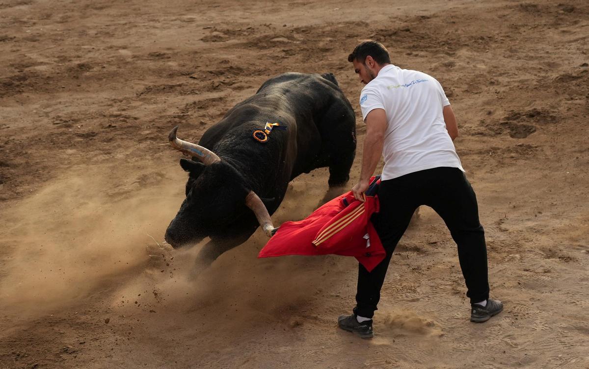 Imagen de un festejo de bous al carrer en la Fira d'Onda