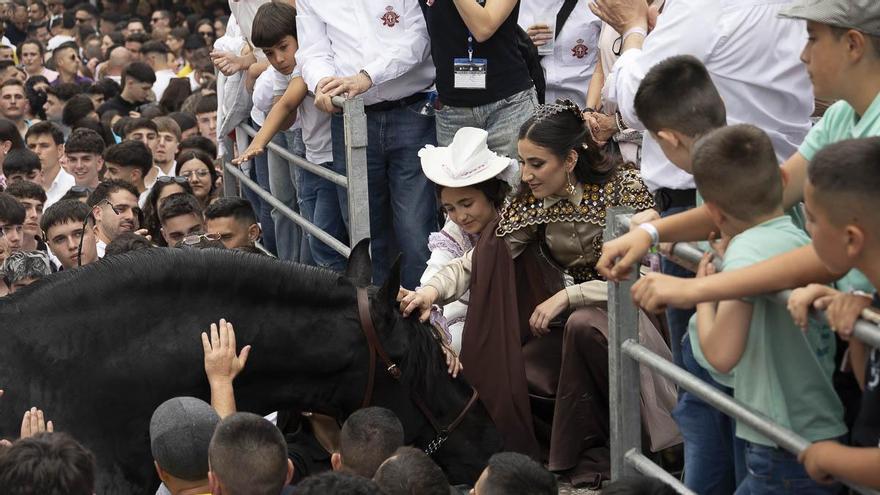 Así fue la entrada de Caballos al Hoyo en las Fiestas de Caravaca