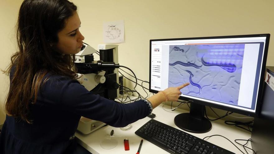 Investigadora en el laboratorio del IIS La Fe.