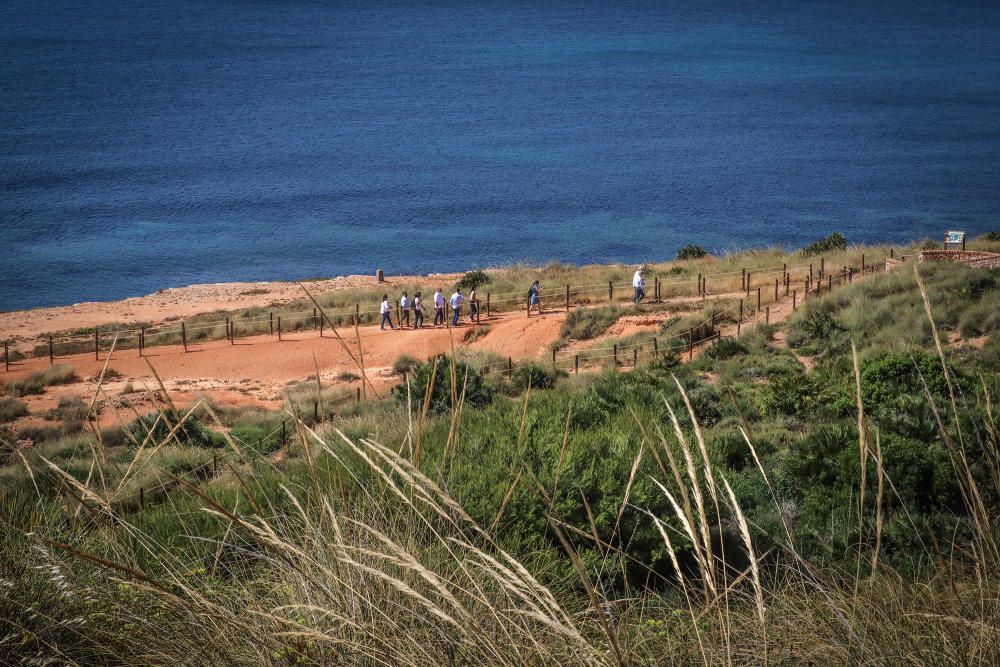 El Ayuntamiento de Orihuela ha invertido 32.000 euros en adecuar un sendero de 1,4 kilómetros en la microrreserva de flora de Punta de La Glea y ha presentado guía con las 56 especies de flora, muchas