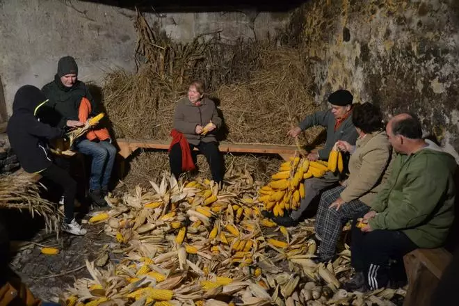 Navelgas revive el esfoyón en el festival dedicado a las tradiciones rurales