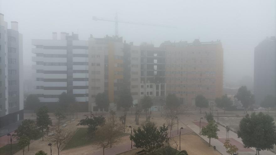 Imágenes de la niebla esta mañana en Murcia.