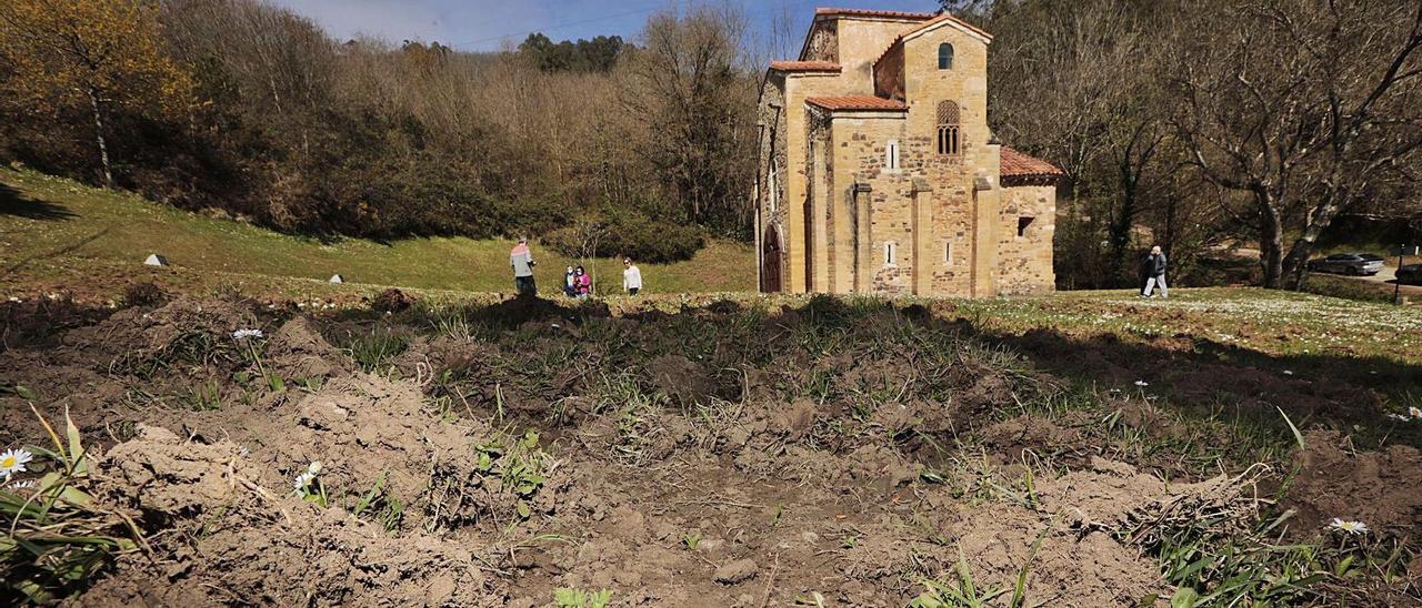 Aspecto que presentaba ayer el entorno de San Miguel de Lillo, a causa de la acción de los jabalíes. | Miki López